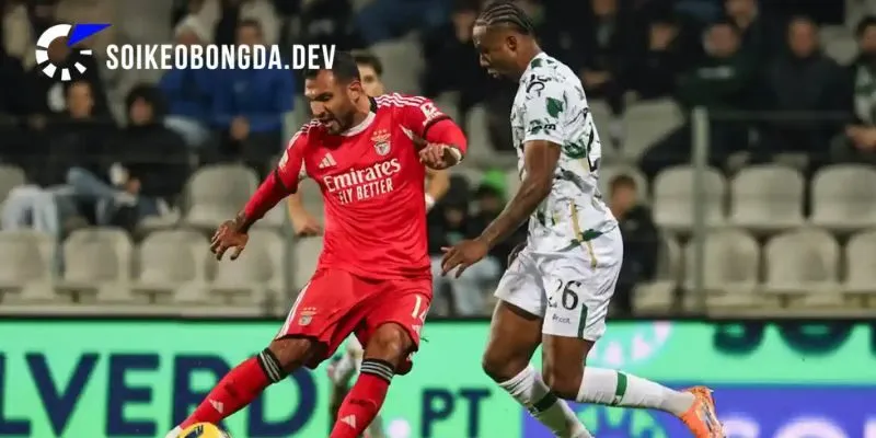 Đánh giá điểm tựa và phong độ hiện tại của Moreirense vs Benfica